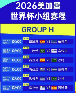 玩法指南：赛前需要先核对哪些信息
